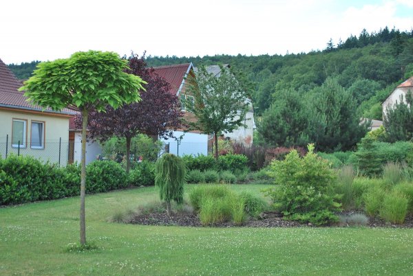 Vohancice_001 Zahrada na sklonku června 2016
